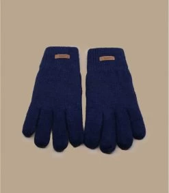 Arrêt. Aller. Chapeau. 66 Barts Haakon Gloves Navy