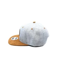 Snapback Express Grey Suede -Arrêt. Aller. Chapeau. snapback express grey suede20snapback20train20express20gris